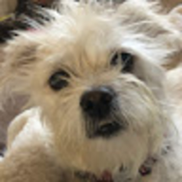 Meet your Posher, Michelle & mike - Picture 1 of 1